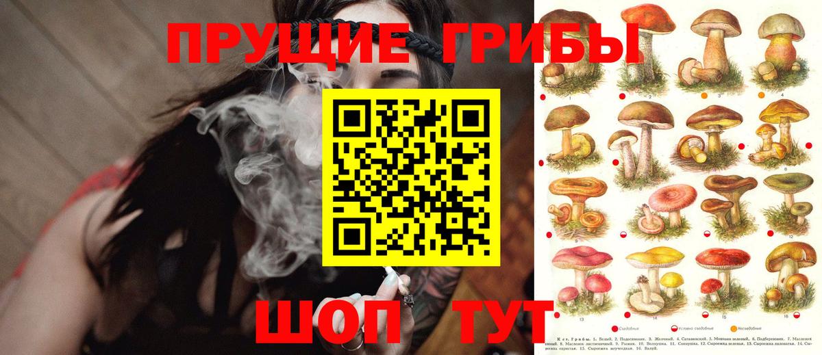 Галлюциногенные грибы мицелий  Вход с VPN  Галлюциногенные грибы MAGIC MUSHROOMS  Черкесск 